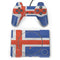 Iceland Flag Distressed PlayStation Classic Bundle Skin